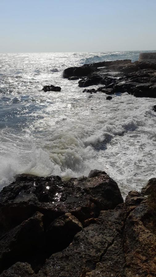 La Preferita Appartamento Vista Lato Mare Monopoli Eksteriør billede